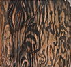 amber sutton zerbra wood carving